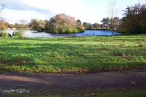 Beveridge Park Wetland before work began by Water Gems in 2006