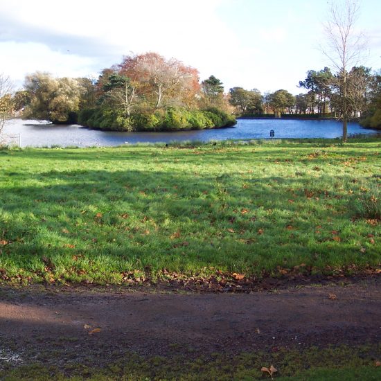 Beveridge Park Wetland before work began by Water Gems in 2006