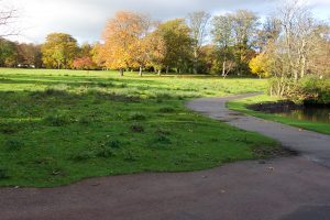 Beveridge Park Wetland before work began by Water Gems in 2006