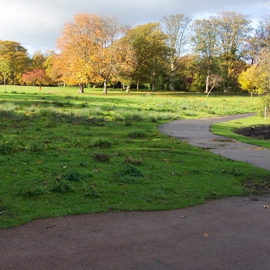 Beveridge Park Wetland before work began by Water Gems in 2006