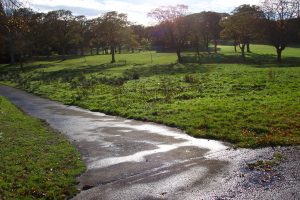 Beveridge Park Wetland before work began by Water Gems in 2006
