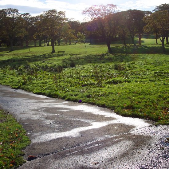 Beveridge Park Wetland before work began by Water Gems in 2006