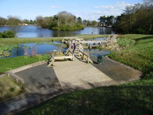 Wetland at Beveridge Park Fife by Water Gems complete, and area open to the public