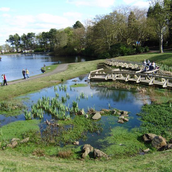 Wetland at Beveridge Park Fife by Water Gems complete, and area open to the public