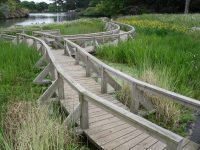 Wetland at Beveridge Park Fife by Water Gems complete, wildflowers in bloom and area open to the public