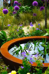 Urbis lily bowl in Gold Medal Award-Winning Garden, built by Water Gems, designed by Carolyn Grohmann at Gardening Scotland 2014