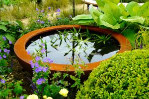 Urbis lily bowl in Gardening Scotland gold medal show garden, built by Water Gems, designed by Carolyn Grohmann in 2014