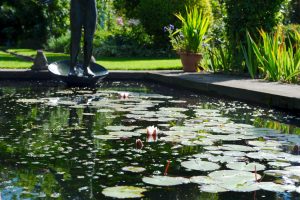 Shepherd House, Inveresk, Water Gems, pond cleaning and maintenance, Edinburgh