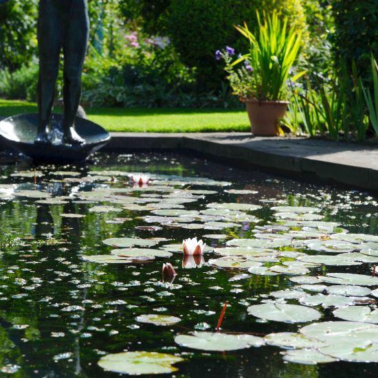 Shepherd House, Inveresk, Water Gems, pond cleaning and maintenance, Edinburgh