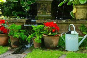 Shepherd House, Inveresk, Water Gems, pond cleaning and maintenance, Edinburgh