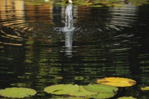 Jupiter Artland formal water feature, consultation work, pond construction, pond maintenance, Water Gems