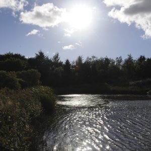 Little Sparta, Water Gems, remedial work, pond cleaning and maintenance