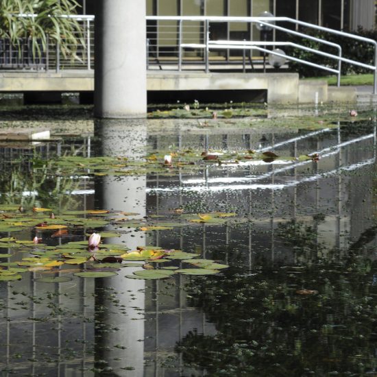 Lloyds TSB water feature, Water Gems, pond cleaning and maintenance