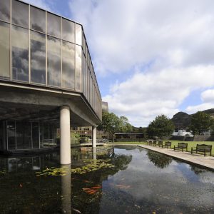 Golden Orfe in Lloyds TSB water feature, Water Gems, pond cleaning and maintenance