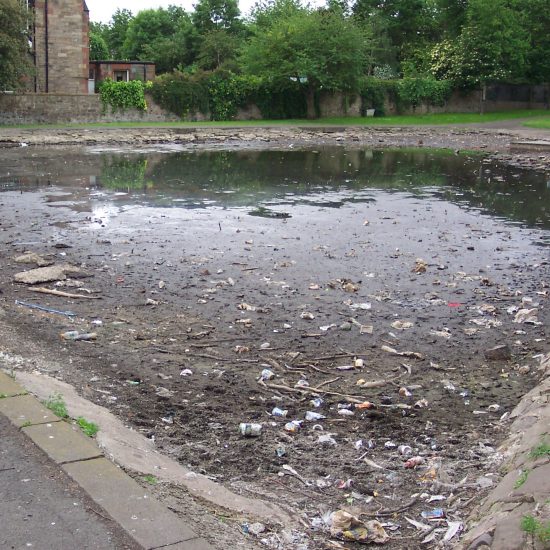 Inverleith Park Pond before work began with serious algal problems