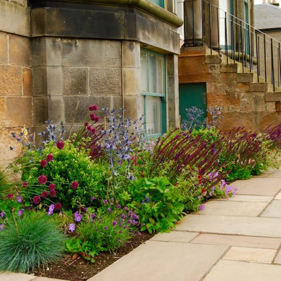 Dunfermline garden, built by Water Gems, designed by Carolyn Grohmann