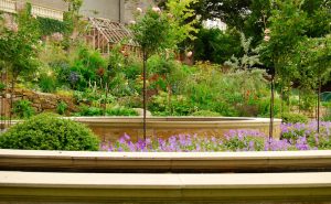 Dunfermline garden, built by Water Gems, designed by Carolyn Grohmann