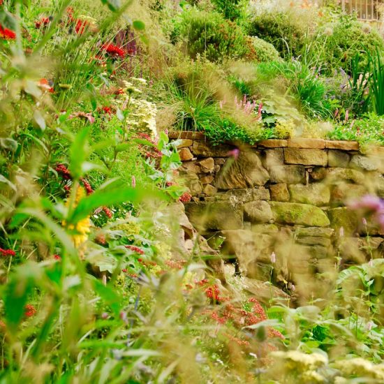 Dunfermline garden, built by Water Gems, designed by Carolyn Grohmann