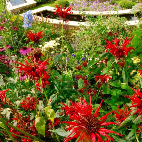 Dunfermline garden, formal water feature, built by Water Gems, designed by Carolyn Grohmann