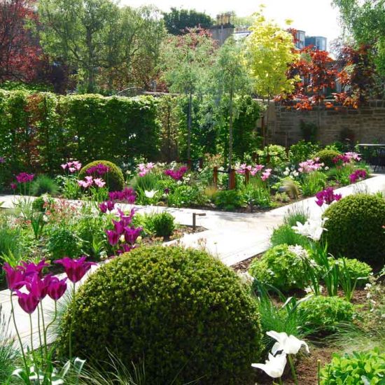 Edinburgh garden built by Water Gems, designed by Carolyn Grohmann