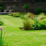 Edinburgh garden built by Water Gems, designed by Carolyn Grohmann