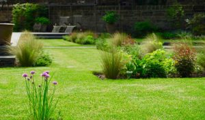 Edinburgh garden built by Water Gems, designed by Carolyn Grohmann