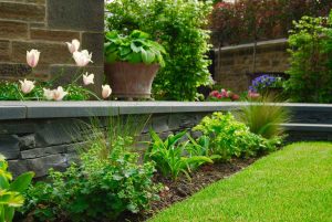 Black basalt paving with clashach inlay, Edinburgh garden built by Water Gems, designed by Carolyn Grohmann