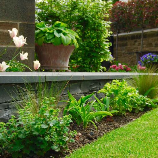 Black basalt paving with clashach inlay, Edinburgh garden built by Water Gems, designed by Carolyn Grohmann