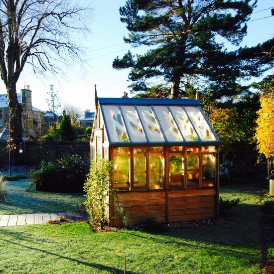 Gabriel Ash greenhouse in winter, in Edinburgh garden built by Water Gems, designed by Carolyn Grohmann