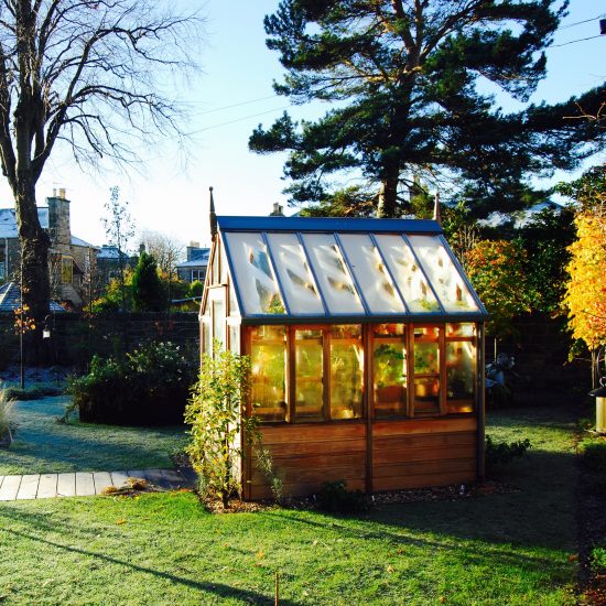 Gabriel Ash greenhouse in winter, in Edinburgh garden built by Water Gems, designed by Carolyn Grohmann