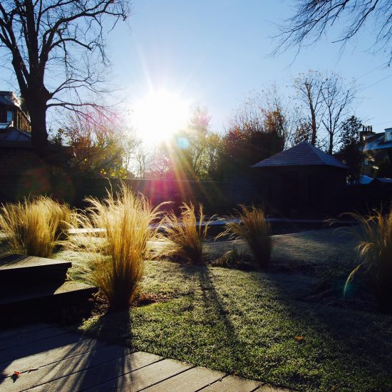 Stipa tenuissima in winter, in Edinburgh garden built by Water Gems, designed by Carolyn Grohmann