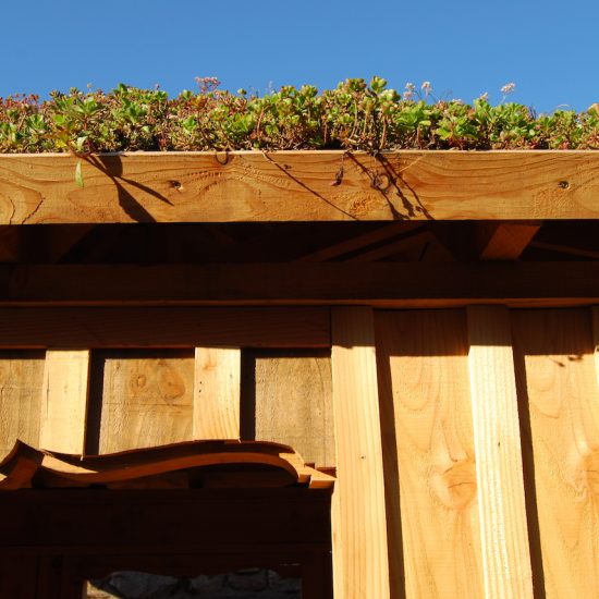 Aviemore garden, larch arbour, sedum roof, built by Water Gems, designed by Carolyn Grohmann