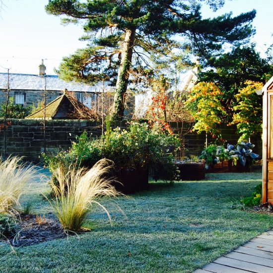 Rebar raised beds, Gabriel Ash greenhouse, in Edinburgh garden built by Water Gems, designed by Carolyn Grohmann