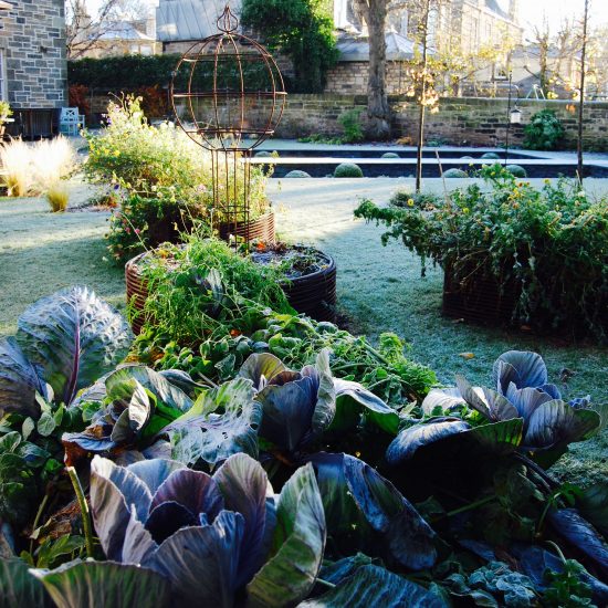 Rebar raised beds, in Edinburgh garden built by Water Gems, designed by Carolyn Grohmann