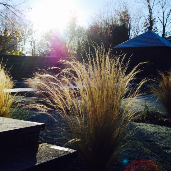 Stipa tenuissima in Edinburgh garden built by Water Gems, designed by Carolyn Grohmann