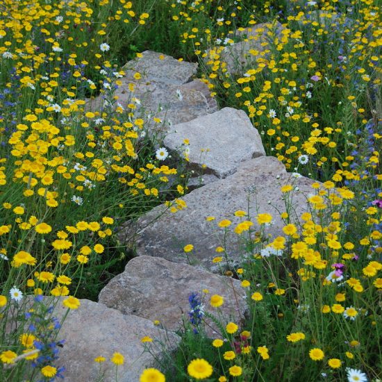 Aviemore garden, built by Water Gems, planting by Carolyn Grohmann