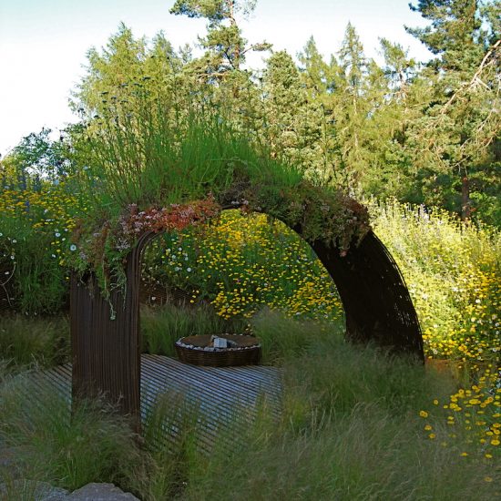 2010 Show Garden Gardening Scotland, rebar culture, rehoused in Aviemore garden, designed and built by Water Gems, planting by Carolyn Grohmann