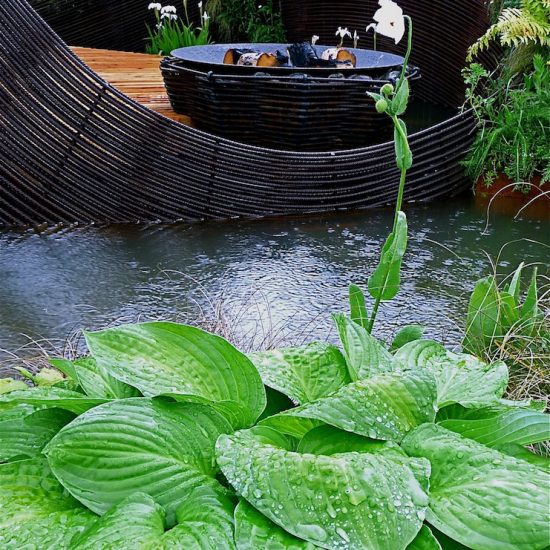 Rebar sculpture, 2010 Gold medal, Gardening Scotland, Best in Show, designed and built by Water Gems, planting by Carolyn Grohmann