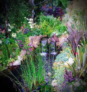 Swimming pond, Garden in Inverleith, Edinburgh by Water Gems