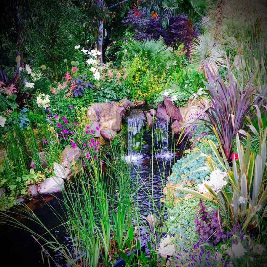 Swimming pond, Garden in Inverleith, Edinburgh by Water Gems