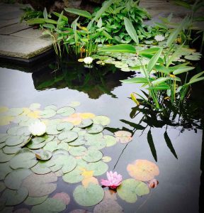 Formal water feature, Garden in Inverleith, Edinburgh by Water Gems