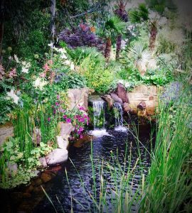 Swimming pond, Garden in Inverleith, Edinburgh by Water Gems