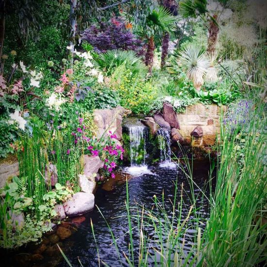 Swimming pond, Garden in Inverleith, Edinburgh by Water Gems