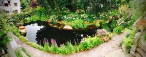 Swimming pond, Garden in Inverleith, Edinburgh by Water Gems