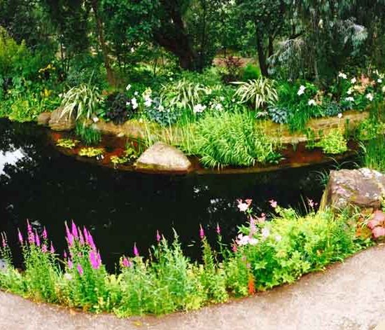 Swimming pond, Garden in Inverleith, Edinburgh by Water Gems