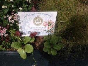 Gold Medal Award-Winning Garden, built by Water Gems, designed by Carolyn Grohmann at Gardening Scotland 2014