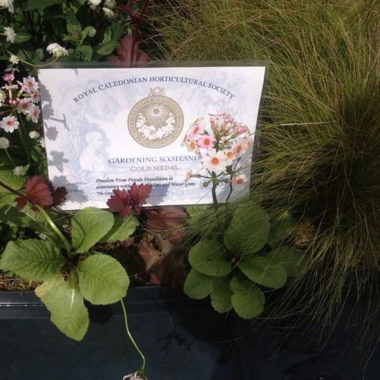 Gold Medal Award-Winning Garden, built by Water Gems, designed by Carolyn Grohmann at Gardening Scotland 2014