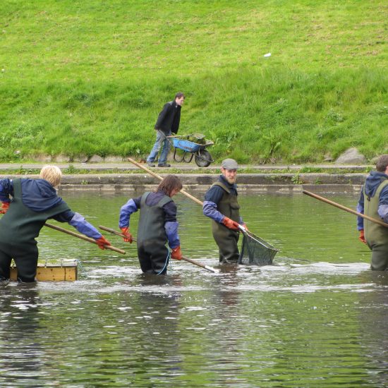 Water Gems back doing maintenance at Inverleith Park Pond