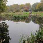 Froggy Pond Makeover by Water Gems Edinburgh