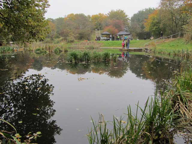 Froggy Pond Makeover by Water Gems Edinburgh